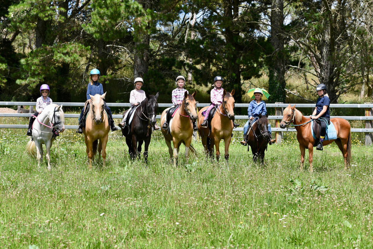 Summer fun with River Horse kids camps