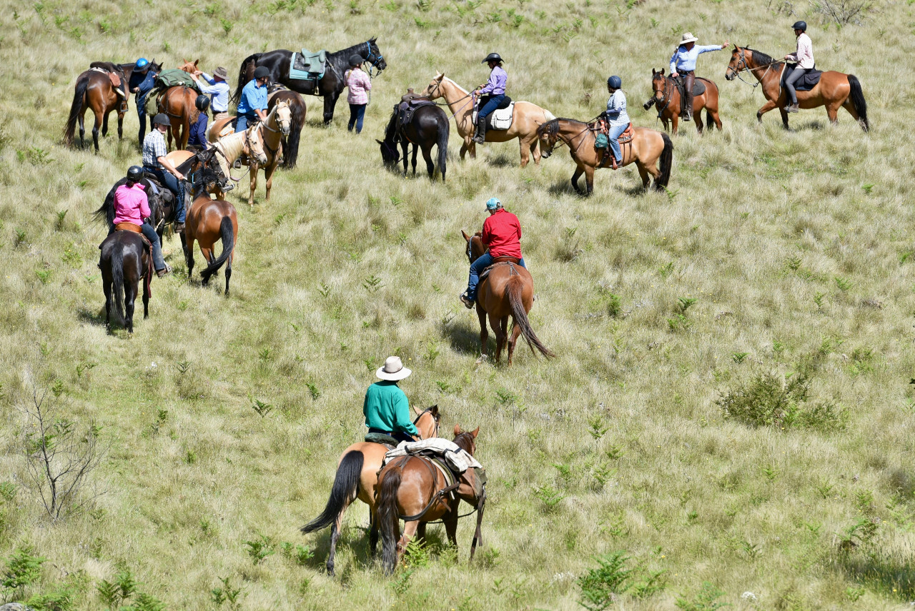 Trekking with River Horse Training and Trekking